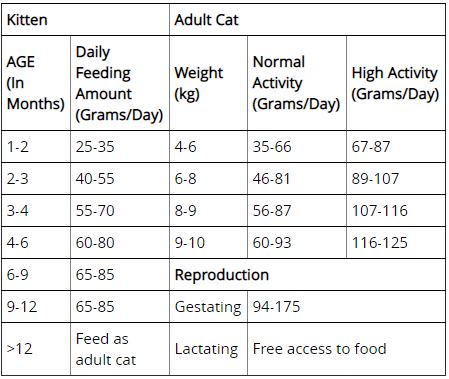 Hairball Control Cat Food large breed cat grain free feeding guide
